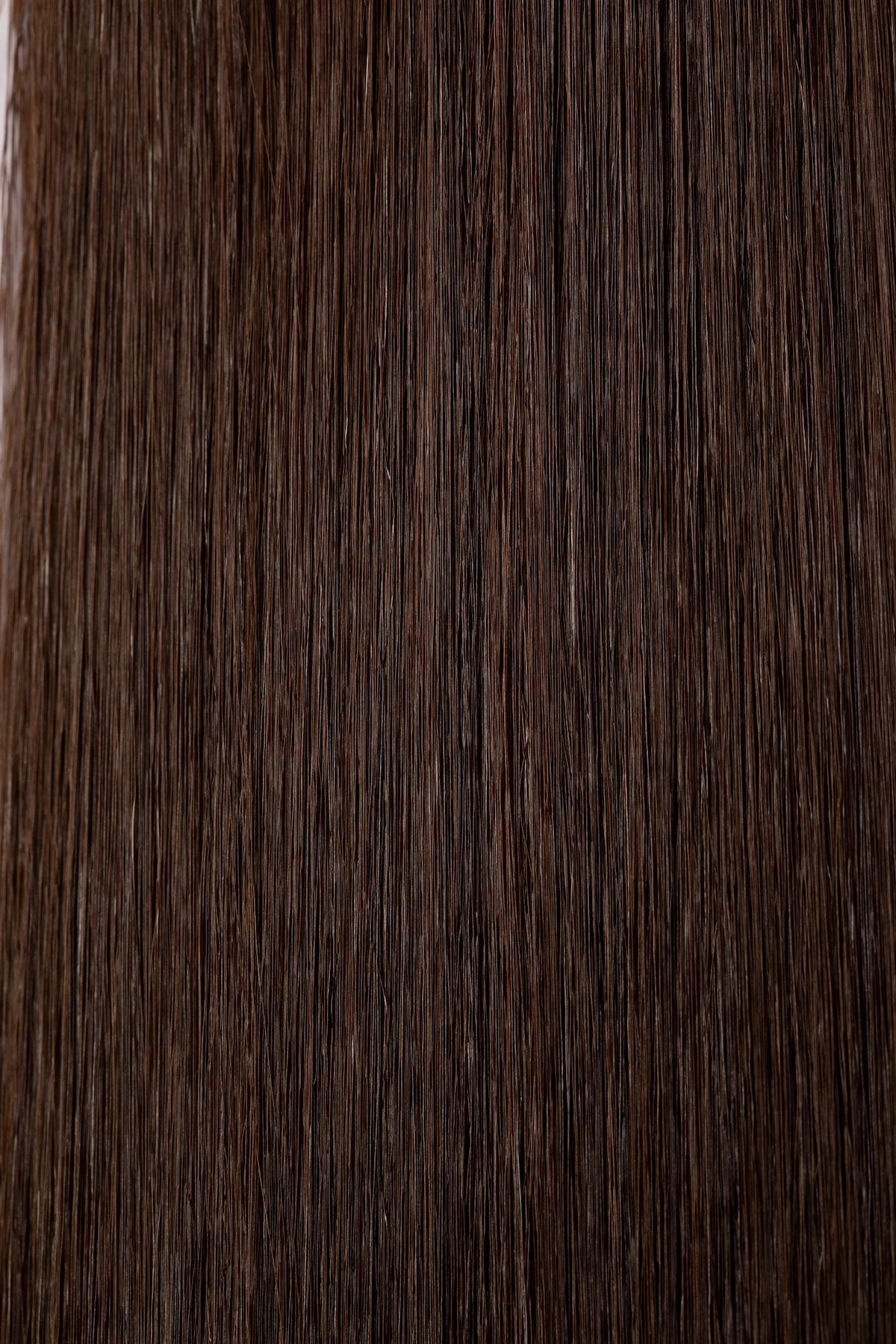 Close up of Loxys Coco Extensions